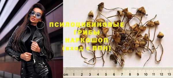 мескалин Алексин