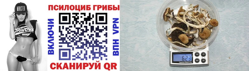 Псилоцибиновые грибы мицелий Нестеров